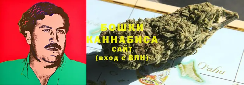 Конопля OG Kush  сколько стоит  Калуга 